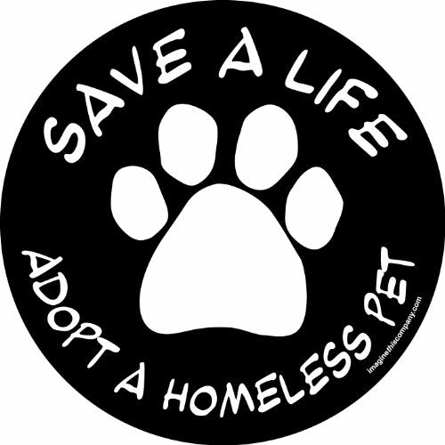 Imagine This Save a Life Adopt a Homeless Pet Car Magnet