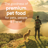 Canidae PURE Grain Free Limited Ingredient Salmon and Sweet Potato Recipe Wet Dog Food