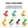 Playology Dual Layer Bone Dog Toy