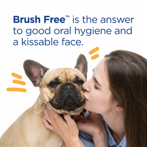 Vetality Brush Free Oral Gel for Dogs (25 G)