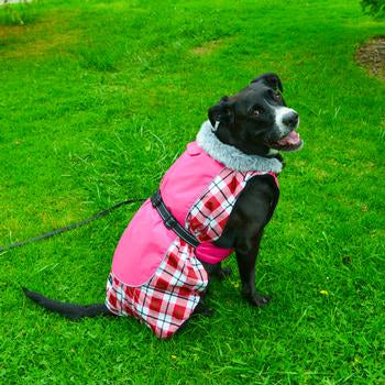 Doggie Design Alpine All-Weather Dog Coat - Raspberry Plaid
