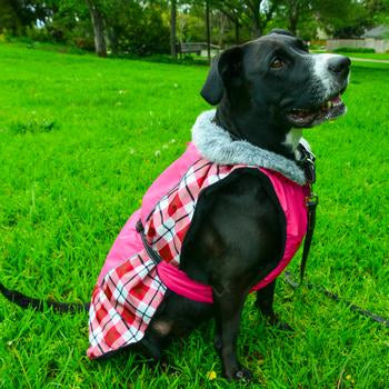 Doggie Design Alpine All-Weather Dog Coat - Raspberry Plaid
