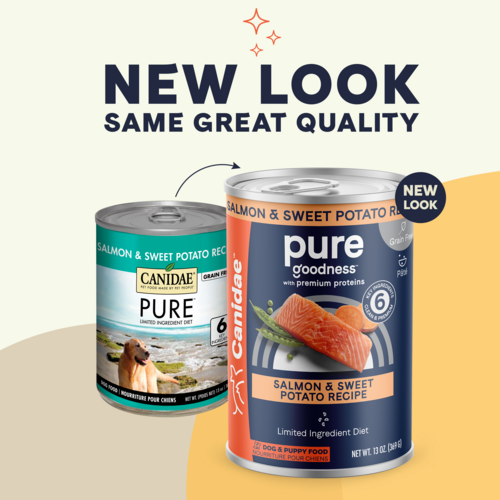 Canidae PURE Grain Free Limited Ingredient Salmon and Sweet Potato Recipe Wet Dog Food