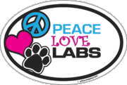 Imagine This Car Magnet Oval, Peace Love Labs