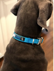 PureLUXE Citi-Style Comfort Collar